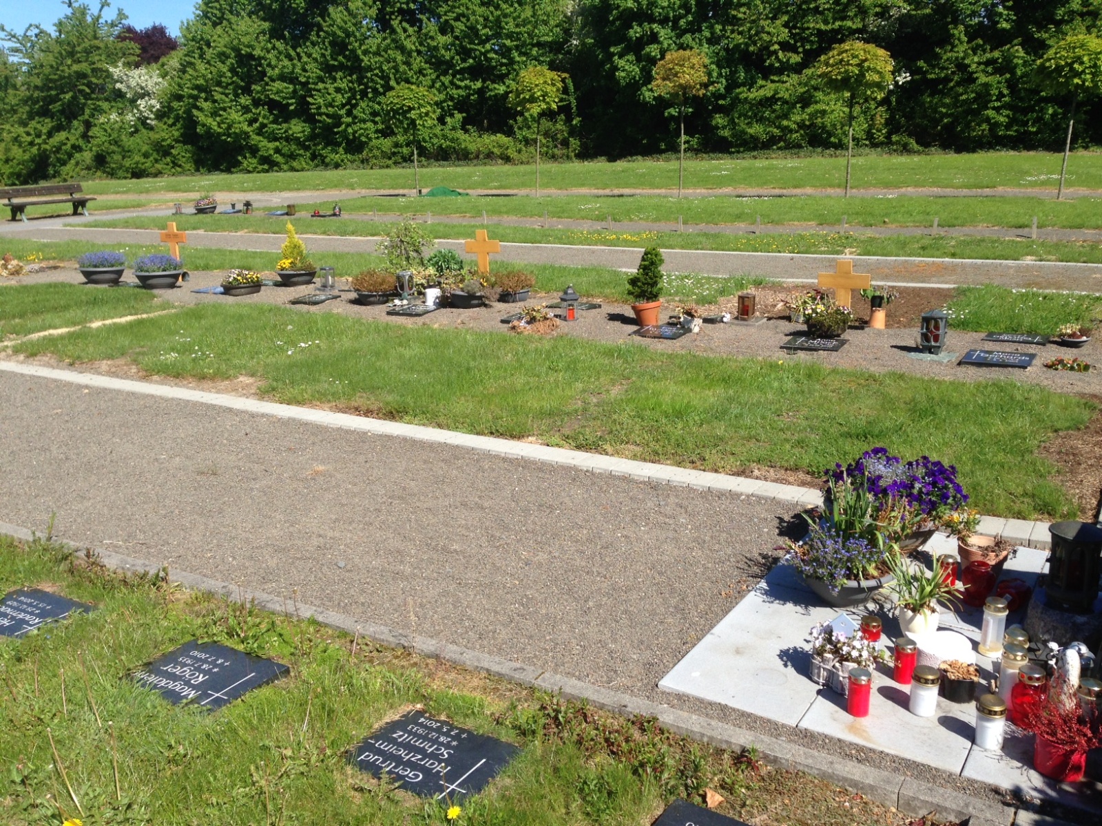 Friedhof Johannisberg - Rasenreihengräber